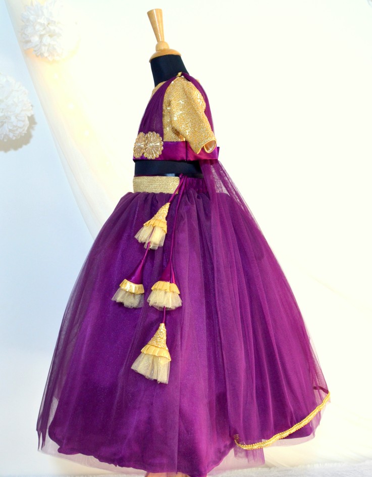 DSC 0131 Shimmer Lehenga Choli with Dupatta- Purple